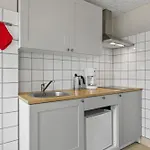 & Kamp alanı Sorø